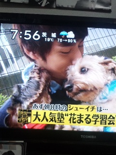 �V���[�C�`�\��