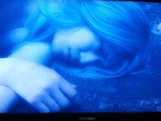 �x���l�̒a��