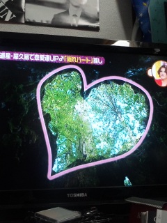 �E�B���\����