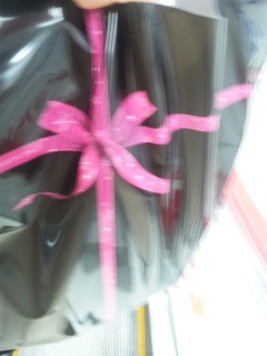 �n���f�B�~�X�g