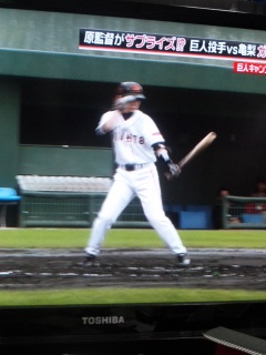 �o�b�^�[�T��