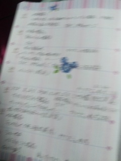 �X�P�W���[����