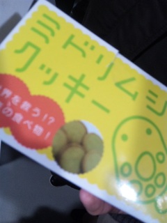 �~�h�����V